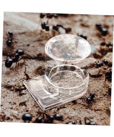 COSMEVIVI Pet Water Feeder Ant Keeping Ants Food Dispenser Ants Feeding Device Ant Water Drinking Cup Ant Nest Water Cup Ant Nest Entrance Feeder Ant Waterer Cup Ant Keeper Tools Ant Bowl - Buy Online on GoSupps.com