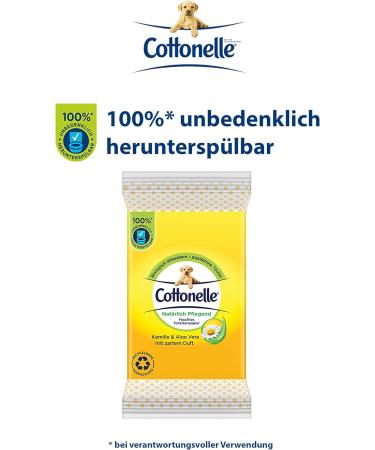 Cottonelle Moist Toilet Paper - Nourishing Chamomile & Aloe Vera Biodegradable On-the-Go 20x12 Towels Pack - Buy Online on GoSupps.com