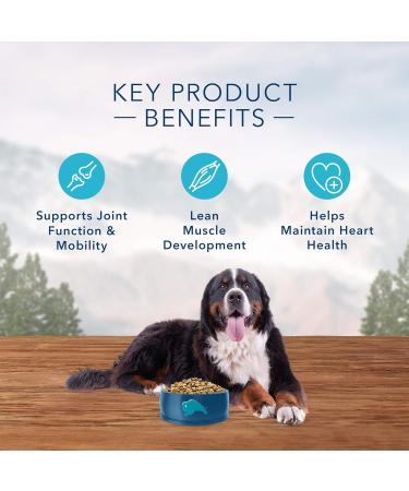 Blue Buffalo Wilderness High Protein Grain Free Natural Adult Large Breed Dry Dog Food Chicken 10.8kg bag - 24 lb kibble Large Breed Chicken High Protein Grain Free - Buy Online on GoSupps.com
