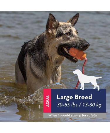KONG Aqua Floating Fetch Toy for Large Dogs | Water Play Toy - Buy Online on GoSupps.com