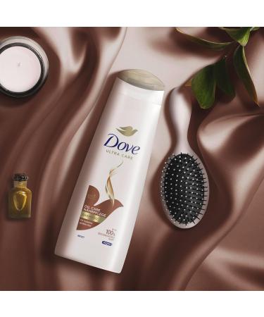 Dove Shampoo Oil Care - Nourishing Solution for Dry Brittle Hair | Bio-Restore Complex | 250ml (6 Pieces) - International Shipping Available - Buy Online on GoSupps.com