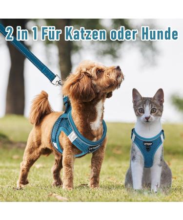 Uvtqssp Dog Harness for Small Dogs with Leash | Padded Puppy Dishes & Indigo Blue Harness Set - Buy Online on GoSupps.com