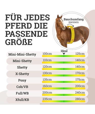 Esposita Professional Carriage Dishes for Shetland Ponies & Miniature Horses - Perfect for Mini Shetty to XL Cold Blood - Buy Online on GoSupps.com
