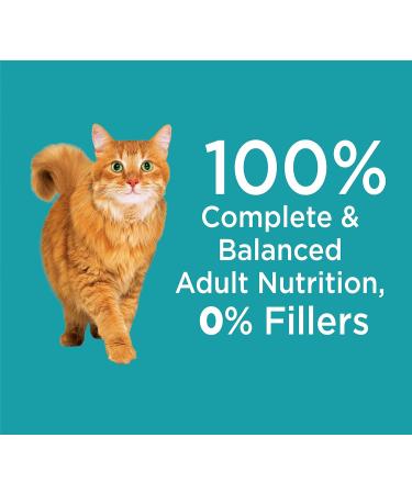 IAMS Proactive Health Dry Cat Food Adult - Indoor Weight & Hairball Care - Chicken & Turkey 7.26kg Bag 7.26 kg (Pack of 1) Dry Cat Food - Buy Online on GoSupps.com