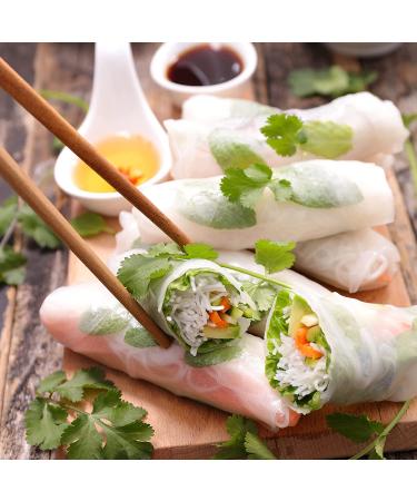 TANISA Rice Paper Wrappers for Spring Rolls - Gluten Free Traditional Vietnamese Rice Paper - 8.7 inch, 2 Packs (24 oz) - Fresh Roll Wrappers - Buy Online on GoSupps.com
