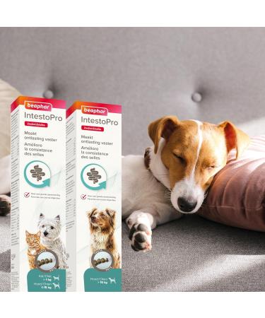 BEAPHAR IntestoPro Food Supplement to improve stool consistency Promotes Digestion Active Ingredient of Natural Origin for Cats and Small Dogs (1 15 kg) 20 ML - Buy Online on GoSupps.com