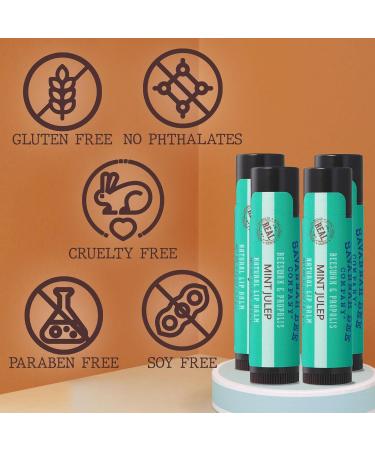 Buy Savannah Bee Company Mint Julep Lip Balm - 0.15 oz (Pack of 4) | Best International Shipping - Buy Online on GoSupps.com