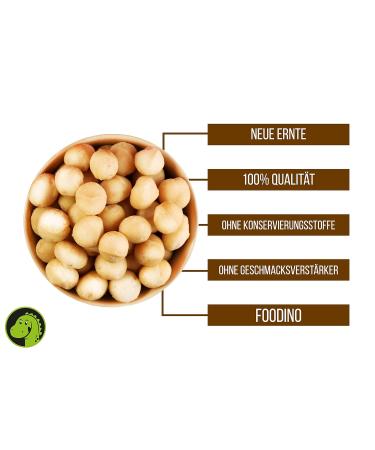 Premium 100% Natural Unsalted Raw Macadamia Nuts - Unroasted & Shell-Free (500g & 5kg) | Foodino - Buy Online on GoSupps.com