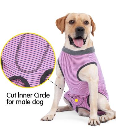 Heywean Dog Recovery Suit - Post-Op Wound Protection for Dogs - Professional Surgical Shirt - Pink (Size M) - Buy Online on GoSupps.com
