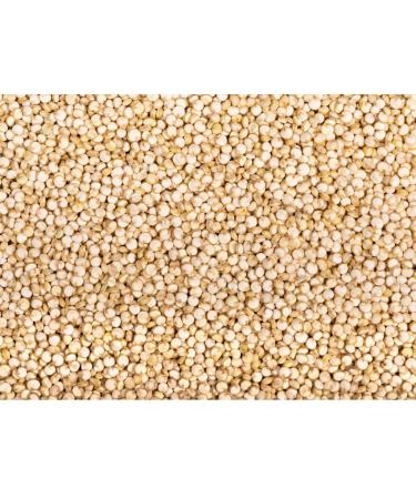 CEREAUSLY Organic White Quinoa Bulk - 10 Lb | Bolivian Royal Quinoa for Restaurants & Wholesale | NON-GMO, Kosher, Gluten-Free, Vegan - Buy Online on GoSupps.com
