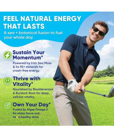 Bundle: Sea Moss Gummies + Algae Omega-3 for Men Women 2 Pack & Hmb and L-Leucine Gummies + Electrolyte for Men & Women 1 Pack - Buy Online on GoSupps.com