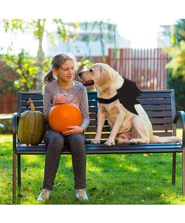 Librnty Bat Wing Dog Costume | Cute Halloween Pet Outfit for Medium Dogs | Cosplay & Party Wear - Buy Online on GoSupps.com