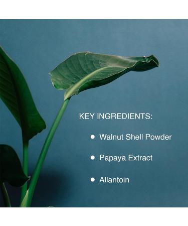 Pharmagel Enzyme Ex-Cell Gentle Papaya Face Exfoliator Scrub - 6 oz (Pack of 1) - Buy Online on GoSupps.com