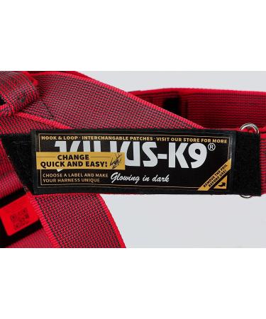 Julius-K9 Belt Harness XS/Mini-Mini in Black-Gray - Perfect for Small Dogs | International Shipping Available - Buy Online on GoSupps.com