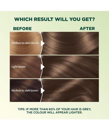 Garnier Nutrisse Ultra Cr me Permanent Hair Dye 100% Grey Coverage Vegan Formula Nourished Hair Long-Lasting Rich Colour 60 Light Natural Brown 1 Application Packaging May Vary BROWN SHADES 60 Light Natural Brown - Buy Online on GoSupps.com