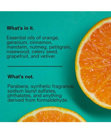 Public Goods Body Wash for Men and Women | Natural Soap for Bath & Shower | Body Scrub Made with Organic Essential Oils | Sulfate & Paraben Free | Vegan Friendly | 34 Fl Oz Refill 34 Fl Oz (Pack of 1) - Buy Online on GoSupps.com