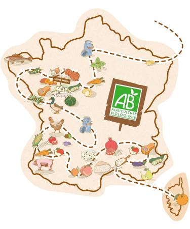 Babybio - Organic Apple Gourds from Nouvelle-Aquitaine/Orange/Banana - From 6 months - 360g - Buy Online on GoSupps.com