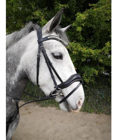 Countrypride ANATOMICAL BRIDLE ABRAM DIAMANTE BROWBAND WITH ANTI SLIP RUBBER REINS BLACK & BROWN Black Pony - Buy Online on GoSupps.com