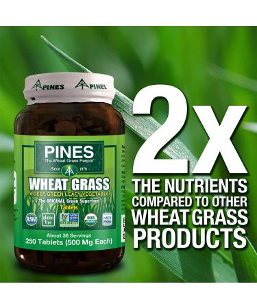 PINES Organic Wheat Grass Tablets - 250 Count | Featured in Ocean's 8 - Buy Online on GoSupps.com