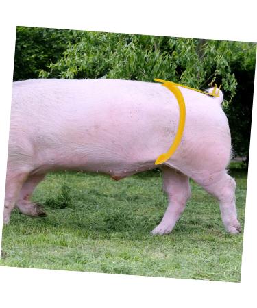 Pig Insemination Rods Stand | Sperm Feeding Holder | Artificial Insemination Bracket - Buy Online on GoSupps.com