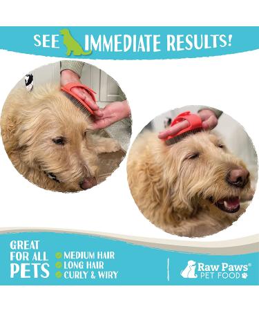 Raw Paws Pet Hand-Held Rubber Tipped Pin Brush for Dogs & Cats - Shedding & Grooming - Suitable for Large & Small Dogs - Short & Long Hair - Buy Online on GoSupps.com