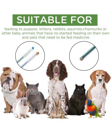 LUTER 4PCS Pet Syringe & Pill Shooter for Cats Dogs Small Animals - Reusable Medical Feeding Tool - Buy Online on GoSupps.com