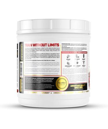 Buy LIMITLESS Magnum 504g - Sugar Free Creatine Monohydrate Pre Workout Powder for Energy Focus & Endurance - Ideal for Men & Women - Fruit Punch Flavor - International Shipping Available - Buy Online on GoSupps.com