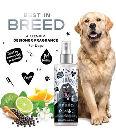BUGALUGS Dog perfume Breed dog deodorant spray with a Distinctive dog perfume spray fragrance long lasting dog spray for smelly dogs. Essential dog cologne grooming products for dogs 200ml 199 ml (Pack of 1) - Buy Online on GoSupps.com