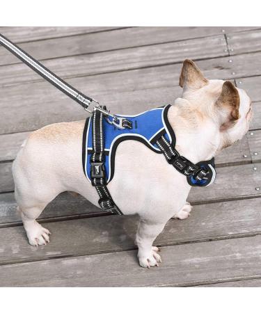 Buy Heele Adjustable No-Pull Dog Harness for Small Dogs - Reflective Breathable & Padded Handle - XS Size Ideal for Chests 33-43cm - Blue - Buy Online on GoSupps.com