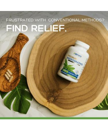 Palmara Health Premium Andrographis Paniculata Extract 2 Pack - 1,200mg (100mg Andrographolides) per Serving, Non-GMO, Vegan, Gluten Free 240 Count (Pack of 1) - Buy Online on GoSupps.com