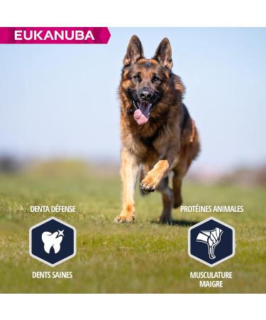 Eukanuba Dog Dry Food German Shepherd Chicken 12 kg - Buy Online on GoSupps.com