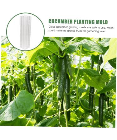 Toddmomy Garden Fruit Mould 6 Pcs Vegetable Shaping Mold Fruit Vegetable Mold Vegetable Shaped Mold Planting Supplies Modeling - Buy Online on GoSupps.com