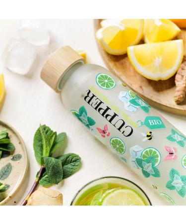 Cupper Bio Cold Water Infuser Box | Glass Bottle for Cold Brew Tea | 30 Unbound Tea Bags | Perfect Gift for Outdoor & Office | 500ml - Buy Online on GoSupps.com