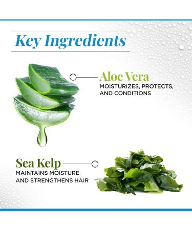 CHI HydrateCare Hydrating Shampoo - Balance Moisture Protect Against Damage Sulfate & Paraben-Free 12 Oz | Cruelty-Free International Shipping - Buy Online on GoSupps.com