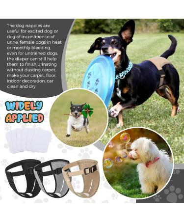 3 Pack Dog Diapers - Adjustable Protective Trousers for Heat & Monthly Bleeding | Washable Dog Pants - Buy Online on GoSupps.com