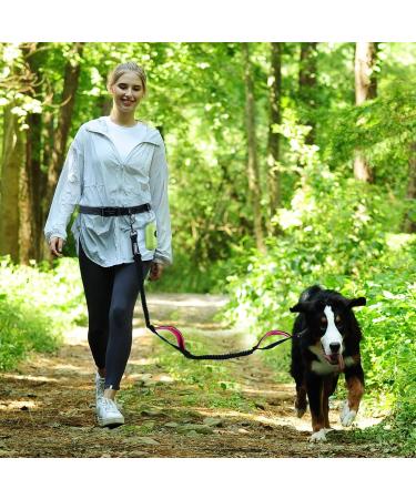 Vivaglory Free-Handed Dog Leash - Double Anti-Shock Bungees Padded Handles Reflective Waist Running Leash for Medium & Large Dogs - Black/Pink M (Fits Waist 83-147cm) - Buy Online on GoSupps.com
