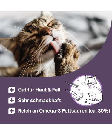 MEDICAT Premium Salmon Oil for Cats 250 ml | Omega-3 Skin & Coat Care | Ship Worldwide - Buy Online on GoSupps.com