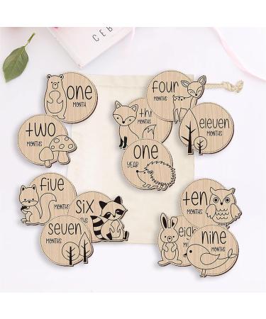 13 Pcs Baby Monthly Milestone Cards Sign Wooden Newborn Baby Announcement Sign Wooden Monthly Cards Hello World Baby Birth Announcement Milestone Discs Photography Props - Buy Online on GoSupps.com