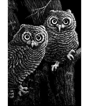 Scratch Art Black Coated Scratchboards 8 1/2 in. x 11 in. pack of 10