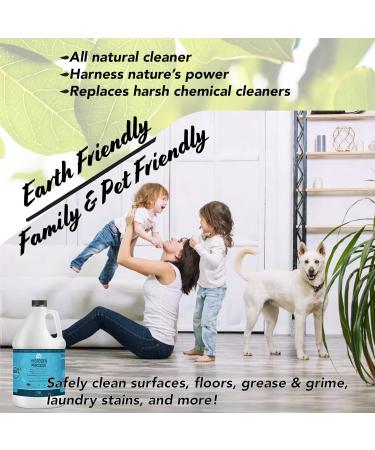 12% Hydrogen Peroxide Solution - Eco-Friendly 1 Gallon Natural Cleaner for Kitchen Bath Laundry - Child-Safe Cap - Made in USA - Buy Online on GoSupps.com