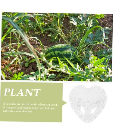 OSALADI Plant Plastic Fruit Clear Fruit Yard Fruit Fruit Forming Heart-Shaped Pumpkin - Buy Online on GoSupps.com