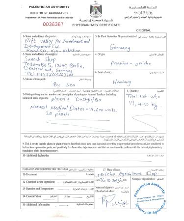 Sunnah Shop Medjool Premium Medjool dates from Palestine 2 kg Large Medjoul King dates from fresh harvest Unique caramel flavor 100 natural without additives 1 kg 2er Pack - Buy Online on GoSupps.com