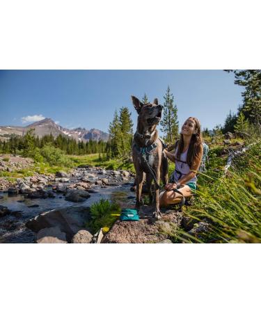 Buy Ruffwear Quencher Bowl - Tumalo Teal Medium | Durable Travel Dog Bowl for International Shipping - Buy Online on GoSupps.com
