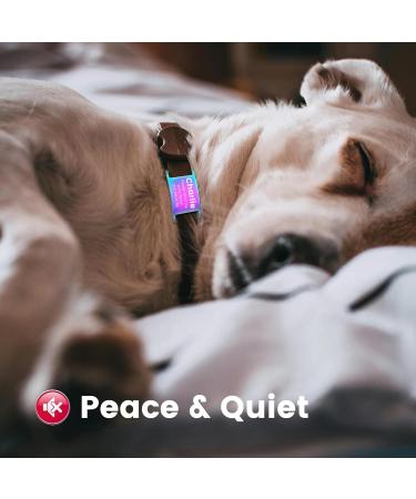 Yehanti Personalized Dog Tag - Engraved Stainless Steel Pet ID for Dogs Cats & Puppies - Custom Name Phone & Address - Colorful S Size (10mm Wide Collar) - Buy Online on GoSupps.com