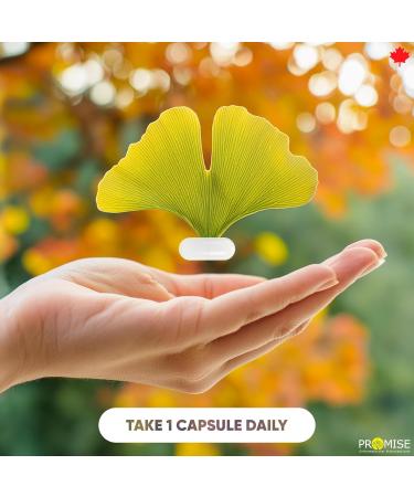 Promise Organic Ginkgo Biloba 120 Capsules Extra Strength. 120 mg Per Capsule. Maximum Strength Brain Health Wellness & Cardiovascular Support- Enhance Mental Clairty & Focus - Buy Online on GoSupps.com