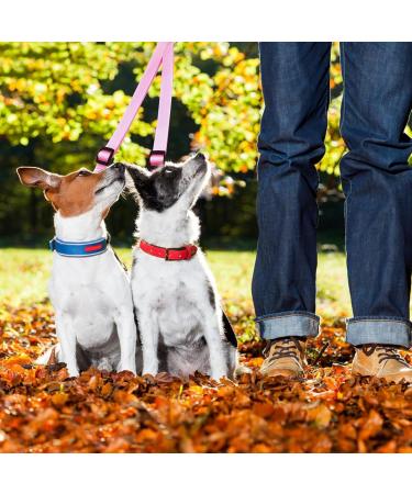 Dual Dog Leash with Splinter Stop - Adjustable Training Leash for Small Medium & Large Dogs - Perfect for Jogging & Hiking (Pink) - Buy Online on GoSupps.com