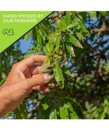 Raw Unsalted Slivered Almonds (16oz) - Fresh & Superior Quality | All Natural, Vegan, Kosher - Perfect for Keto Diet - Nutritious Snack Option - Buy Online on GoSupps.com
