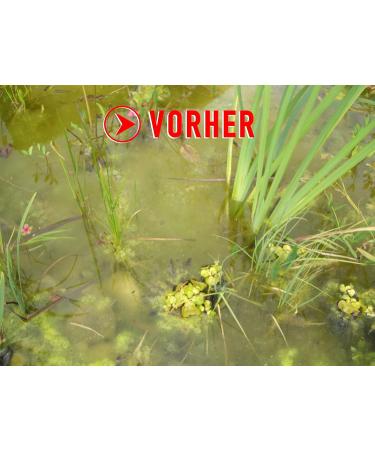 Algae Killer Protect - Premium Water Care for Garden & Swimming Ponds (150g - Treats up to 10 000 Liters) - Buy Online on GoSupps.com