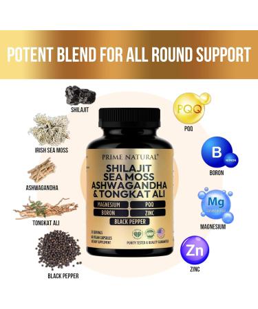 Shilajit 1000mg Irish Sea Moss 100mg Ashwagandha 100mg Tongkat Ali Boron Magnesium PQQ & More | 60 Capsules - 30 Days Supply| Fulvic Acid Veg Capsules| Vegan| Gluten Free | Non-GMO - Buy Online on GoSupps.com