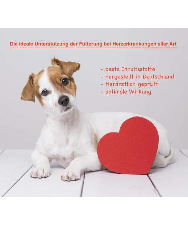 Canimove Doppelpack (200 Capsules) - Veterinary-Approved Support for Heart Function in Large Dog Breeds - Buy Online on GoSupps.com